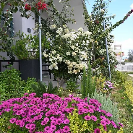 Bellelen - Margarita Corinth